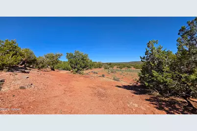 9880 Texas Lane, Show Low, AZ 85901 - Photo 21