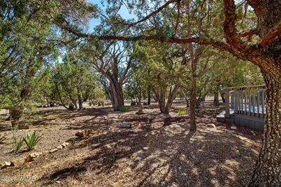 3069 Aspen Road, Overgaard, AZ 85933 - Photo 3
