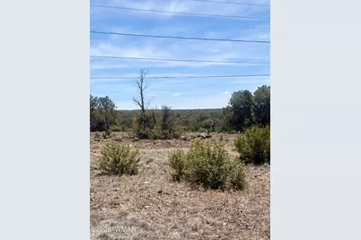 8301 Ridge Drive, Show Low, AZ 85901 - Photo 3