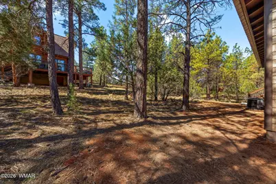 2273 Constellation Lane, Overgaard, AZ 85933 - Photo 25