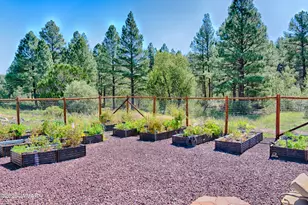 1901 N Bison Ridge Trail, Show Low, AZ 85901 - Photo 23