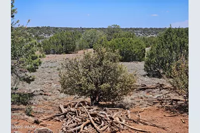 Tbd Acr N8388 and N8385, Concho, AZ 85924 - Photo 3