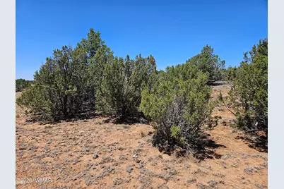 Tbd Acr N8388 and N8385, Concho, AZ 85924 - Photo 25