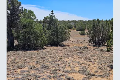 Tbd Acr N8388 and N8385, Concho, AZ 85924 - Photo 21