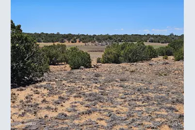 Tbd Acr N8388 and N8385, Concho, AZ 85924 - Photo 23