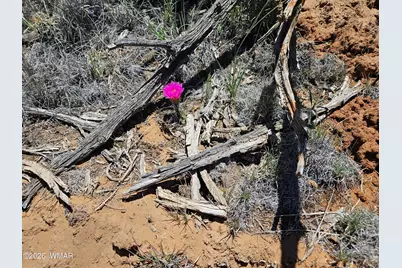 Tbd Acr N8388 and N8385, Concho, AZ 85924 - Photo 27