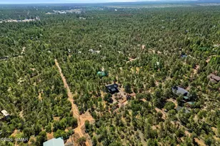2797 Paradise Pines Rd, Overgaard, AZ 85933 - Photo 31