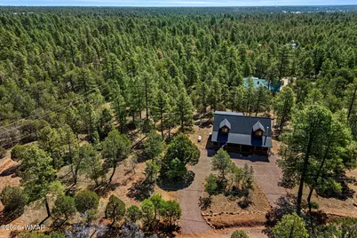 2797 Paradise Pines Road, Overgaard, AZ 85933 - Photo 29