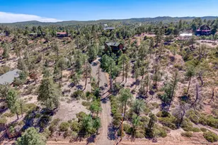 6367 Old Forest Trail, Show Low, AZ 85901 - Photo 39