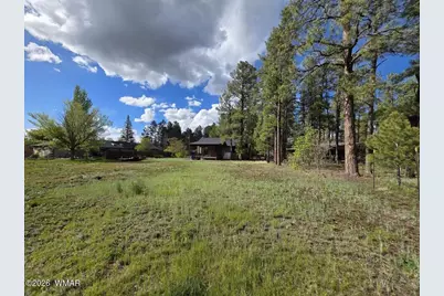 583 S Woodland Lane, Pinetop, AZ 85935 - Photo 37