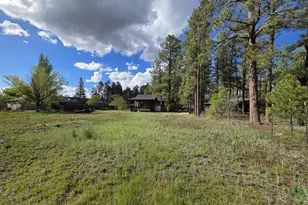 583 S Woodland Ln, Pinetop, AZ 85935 - Photo 37