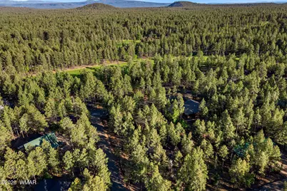 7172 Buck Springs Road, Pinetop, AZ 85935 - Photo 51