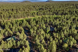 7172 Buck Springs Rd, Pinetop, AZ 85935 - Photo 51