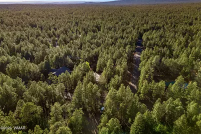 7172 Buck Springs Road, Pinetop, AZ 85935 - Photo 49