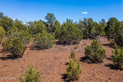 133 N3314, Vernon, AZ 85940 - Photo 7