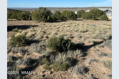 31 Mesquite Drive, Concho, AZ 85924 - Photo 3