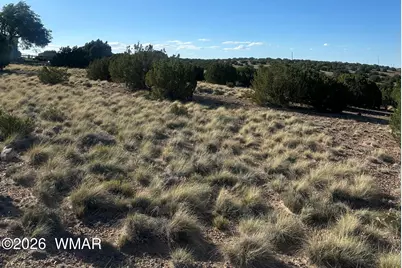 31 Mesquite Drive, Concho, AZ 85924 - Photo 1
