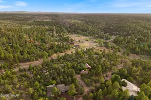 1905 Ridge Rd, Heber, AZ 85928 - Photo 47