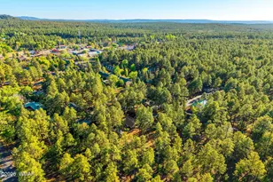 1249 S Stephens Dr, Pinetop, AZ 85935 - Photo 39
