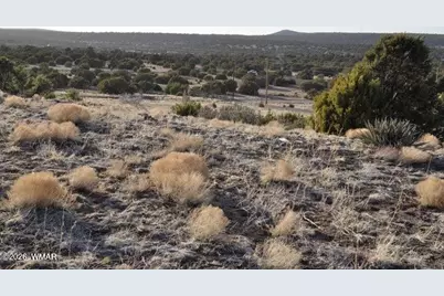 20 County Road 3044, Concho, AZ 85924 - Photo 11