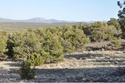 20 County Road 3044, Concho, AZ 85924 - Photo 13