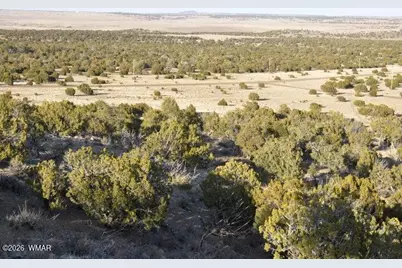 20 County Road 3044, Concho, AZ 85924 - Photo 9