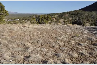 20 County Road 3044, Concho, AZ 85924 - Photo 5