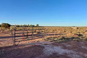 835 Apple Blossom Ln, Snowflake, AZ 85937 - Photo 61