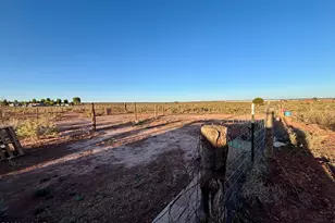 835 Apple Blossom Ln, Snowflake, AZ 85937 - Photo 63