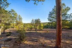 6239 Loggers Ln, Show Low, AZ 85901 - Photo 25