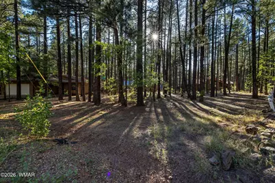 8510 Alchesay Drive, Pinetop, AZ 85935 - Photo 1