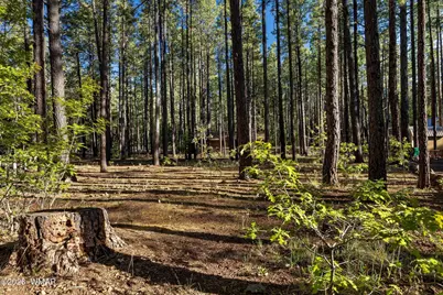 8510 Alchesay Drive, Pinetop, AZ 85935 - Photo 5