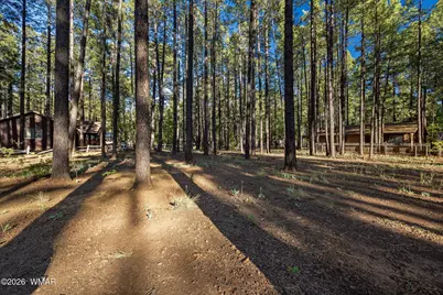 8510 Alchesay Drive, Pinetop, AZ 85935 - Photo 1