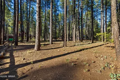 8510 Alchesay Drive, Pinetop, AZ 85935 - Photo 3
