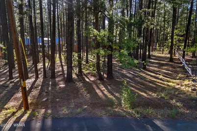 8510 Alchesay Drive, Pinetop, AZ 85935 - Photo 5