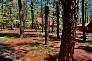 8239 Buck Springs Rd, Pinetop, AZ 85935 - Photo 5