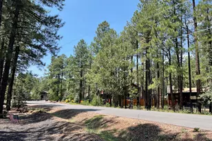 8239 Buck Springs Rd, Pinetop, AZ 85935 - Photo 29