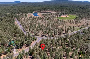 2035 Wild Oak Trail Ln, Pinetop, AZ 85935 - Photo 17