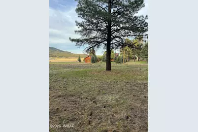 18 County Rd 2063, Alpine, AZ 85920 - Photo 3