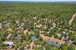 2176 Wildlife Trail, Overgaard, AZ 85933 - Photo 33