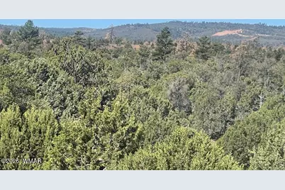 1751 Forest Service Rd 163, Clay Springs, AZ 85923 - Photo 5