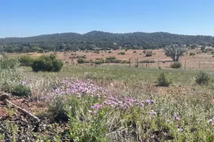 1751 Forest Service Rd 163, Clay Springs, AZ 85923 - Photo 1
