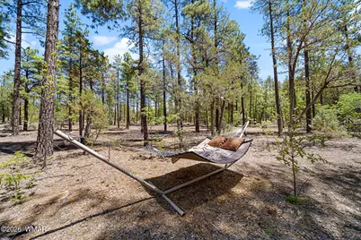 779 Lone Wolf Lane, Lakeside, AZ 85929 - Photo 7