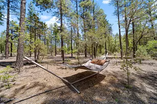 779 Lone Wolf Ln, Lakeside, AZ 85929 - Photo 7