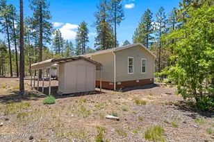 779 Lone Wolf Ln, Lakeside, AZ 85929 - Photo 9
