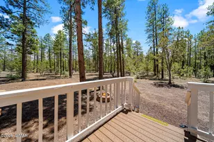 779 Lone Wolf Ln, Lakeside, AZ 85929 - Photo 13