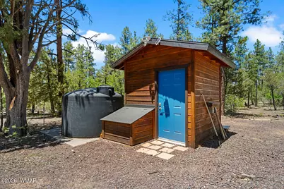 779 Lone Wolf Lane, Lakeside, AZ 85929 - Photo 11