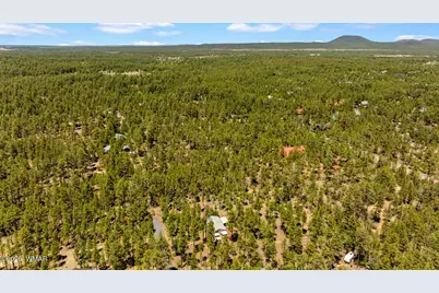 779 Lone Wolf Lane, Lakeside, AZ 85929 - Photo 41