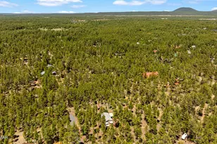 779 Lone Wolf Ln, Lakeside, AZ 85929 - Photo 41