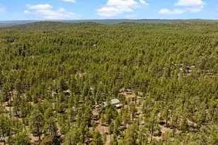 779 Lone Wolf Ln, Lakeside, AZ 85929 - Photo 39